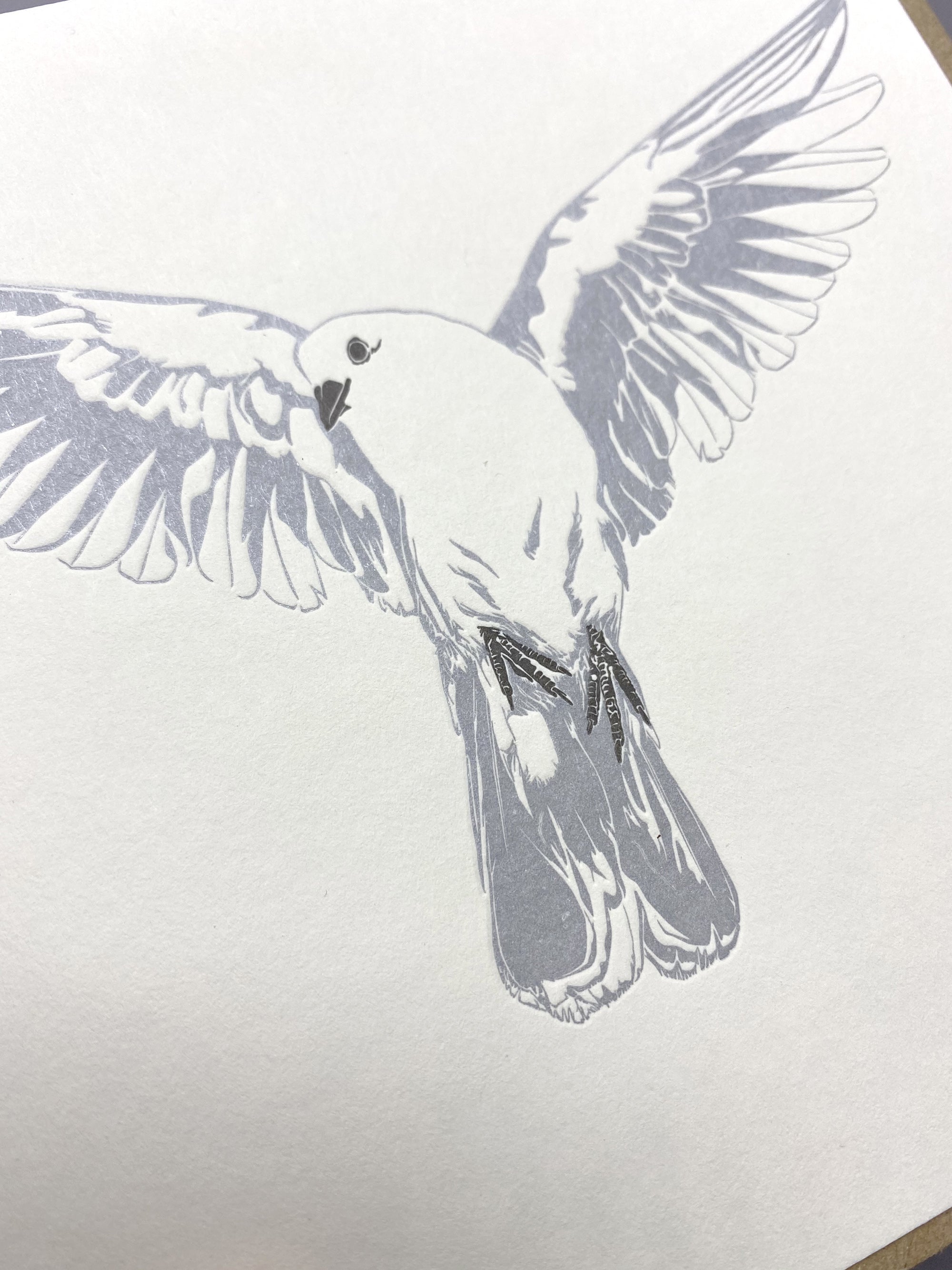 Dove letterpress Card