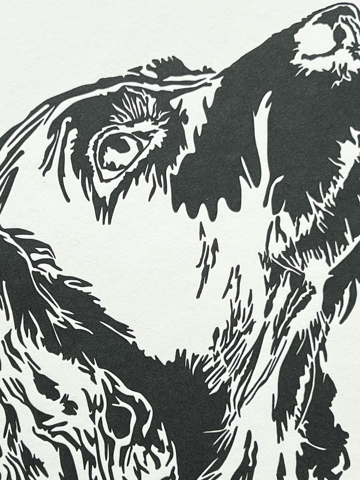 Spaniel Puppy Letterpress Card