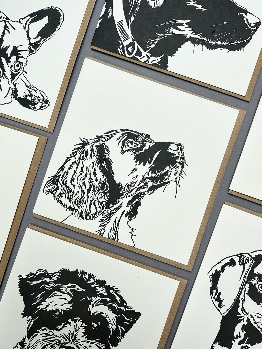 Spaniel Puppy Letterpress Card