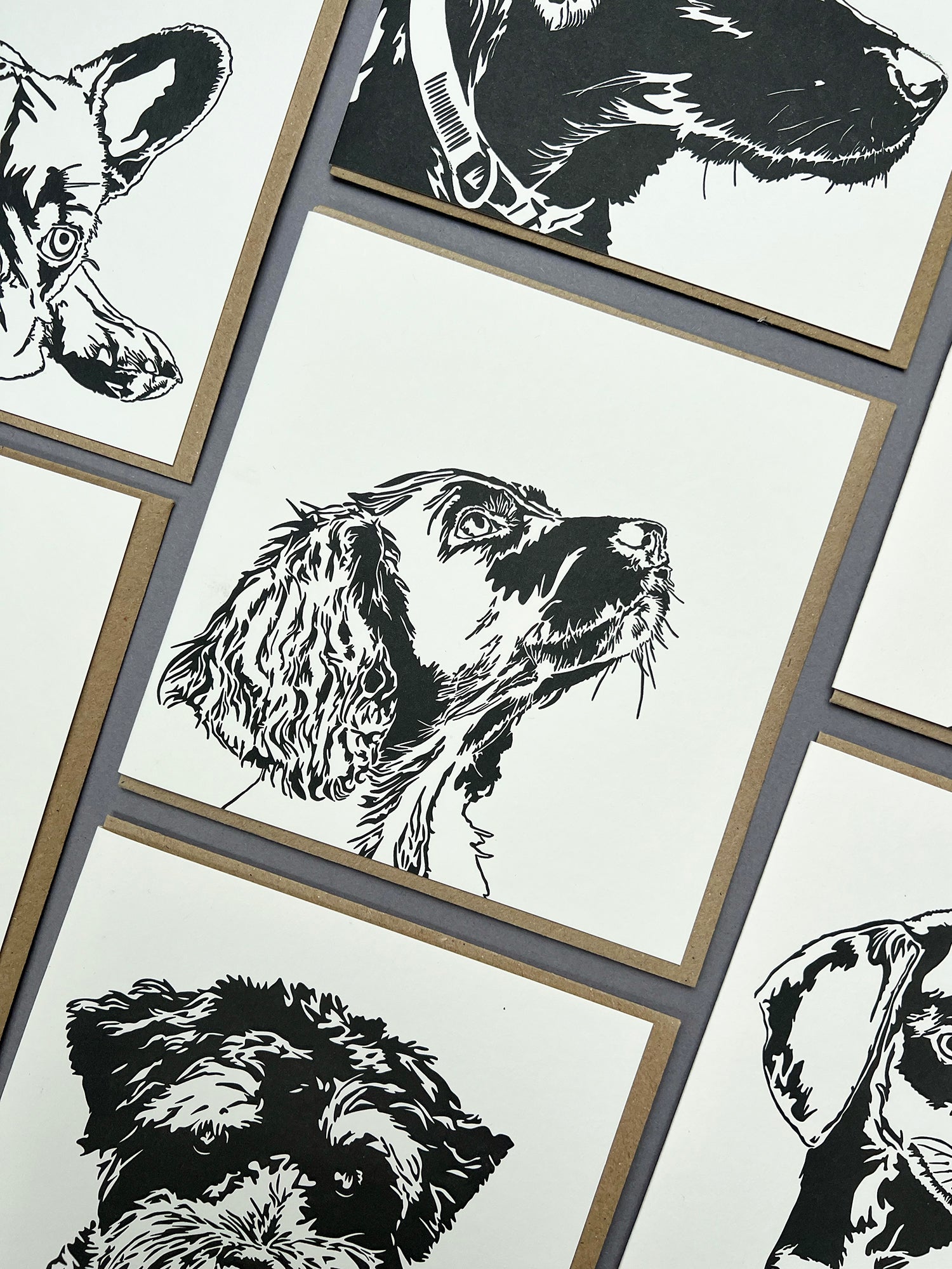 Spaniel Puppy Letterpress Card