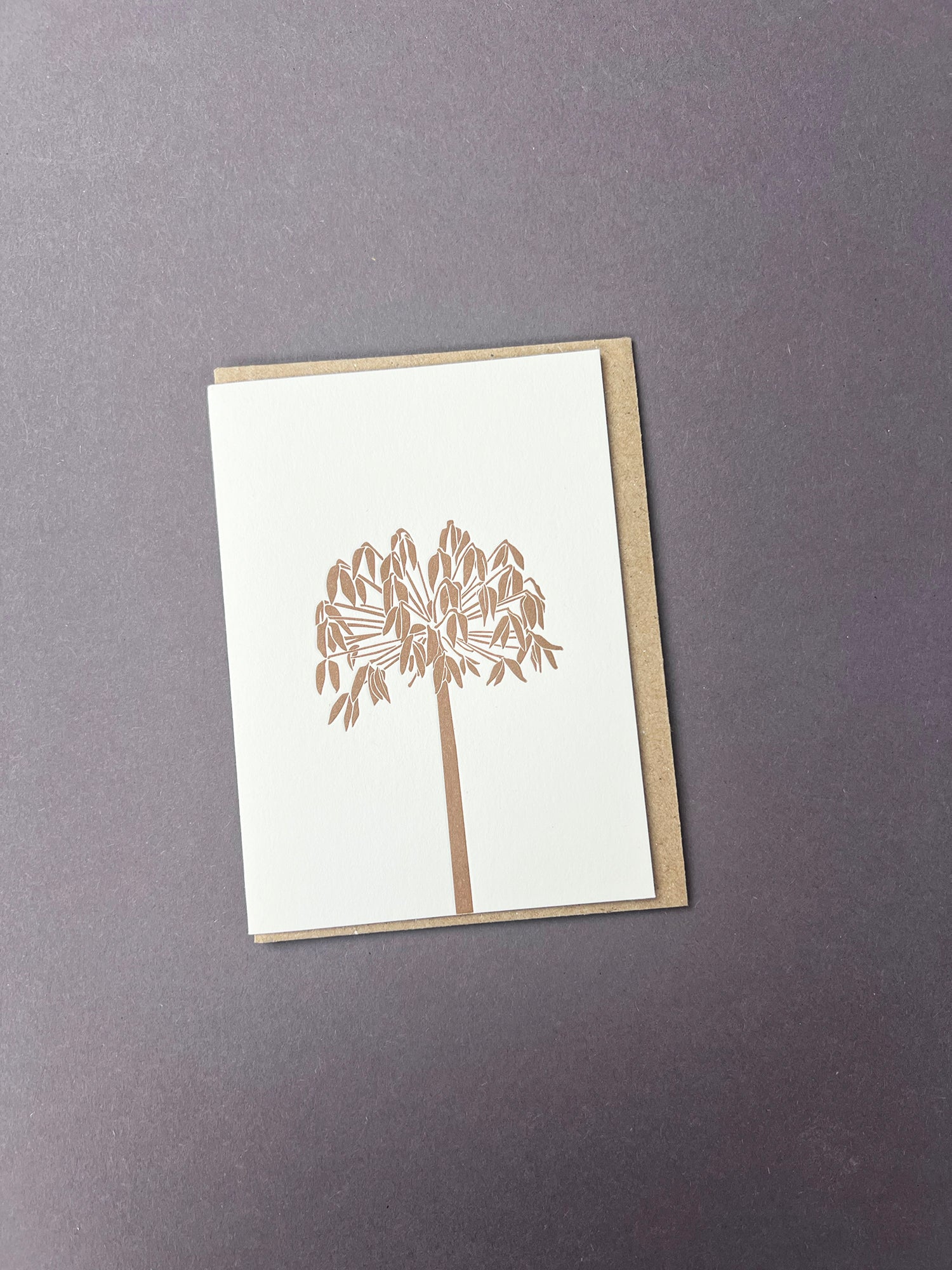 Agapanthus Card
