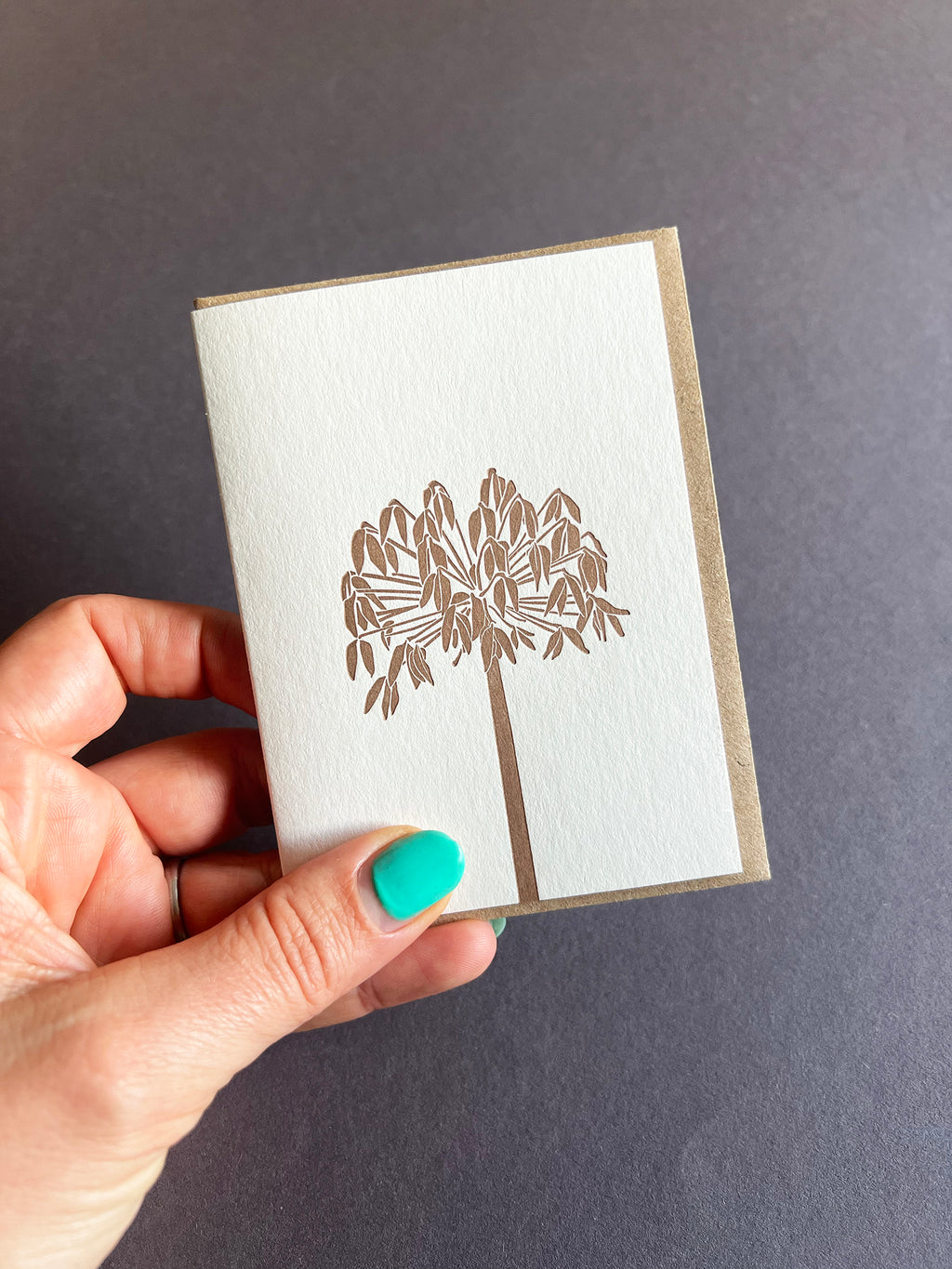 Agapanthus Card