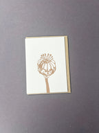 Poppy Card