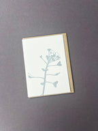Shepherd's Purse Card
