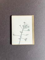 Shepherd's Purse Card