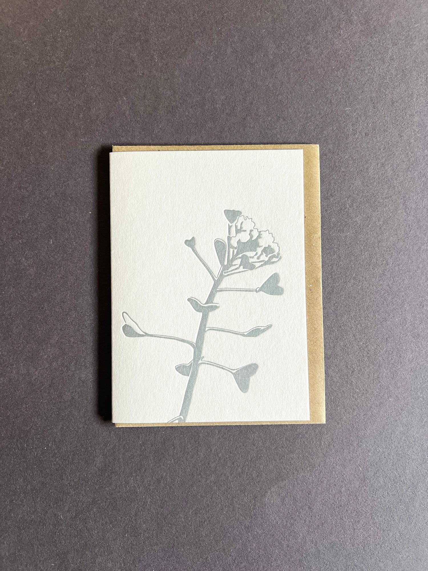 Shepherd's Purse Card