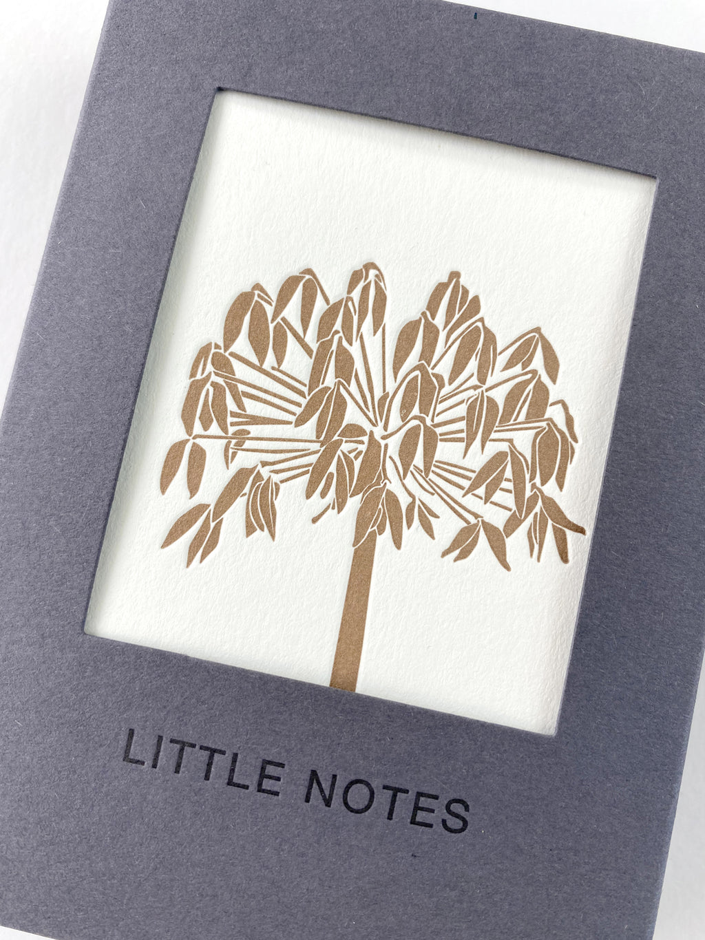 Seedheads Notecard Set | Set of 8