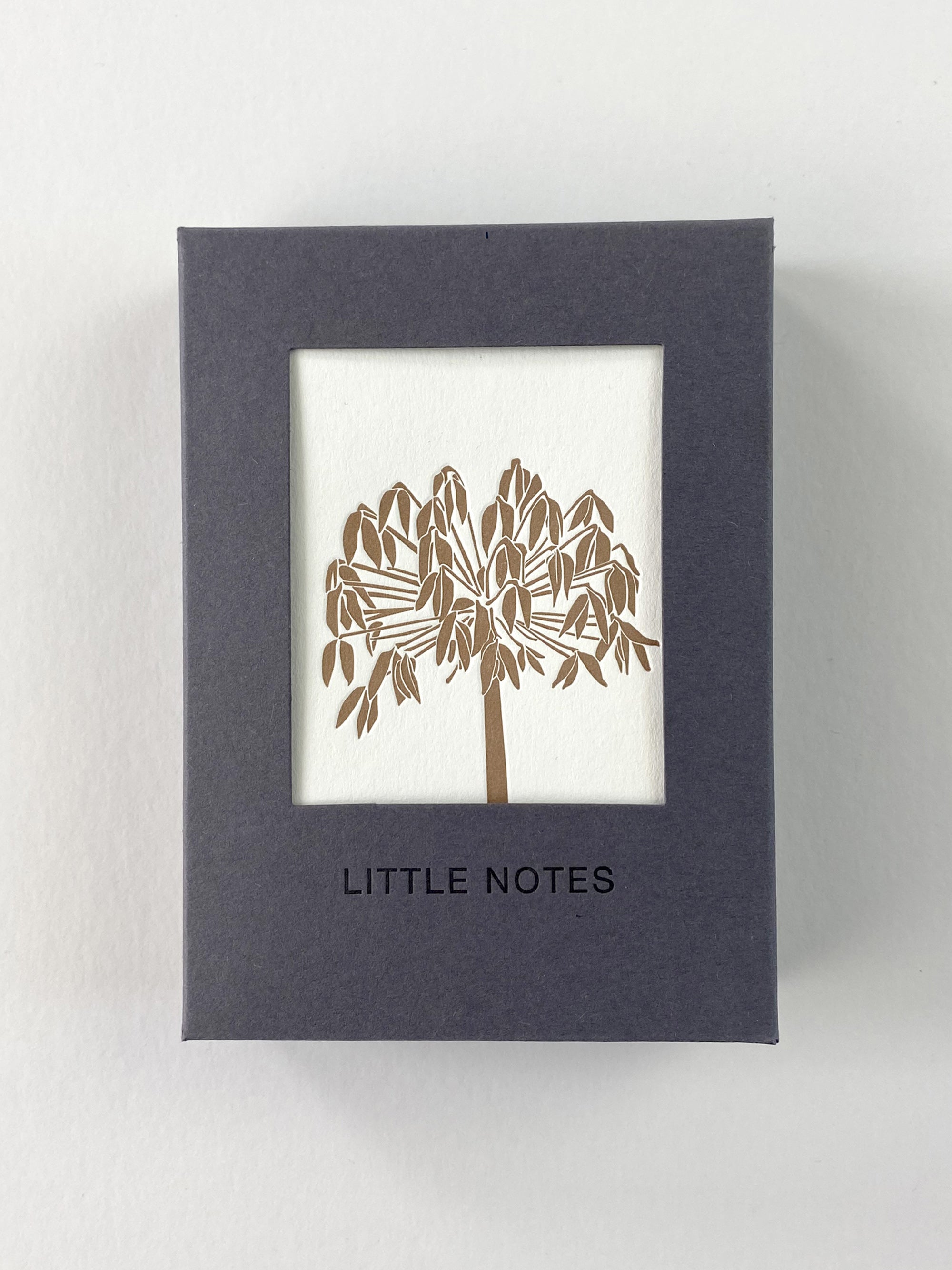 Seedheads Notecard Set | Set of 8