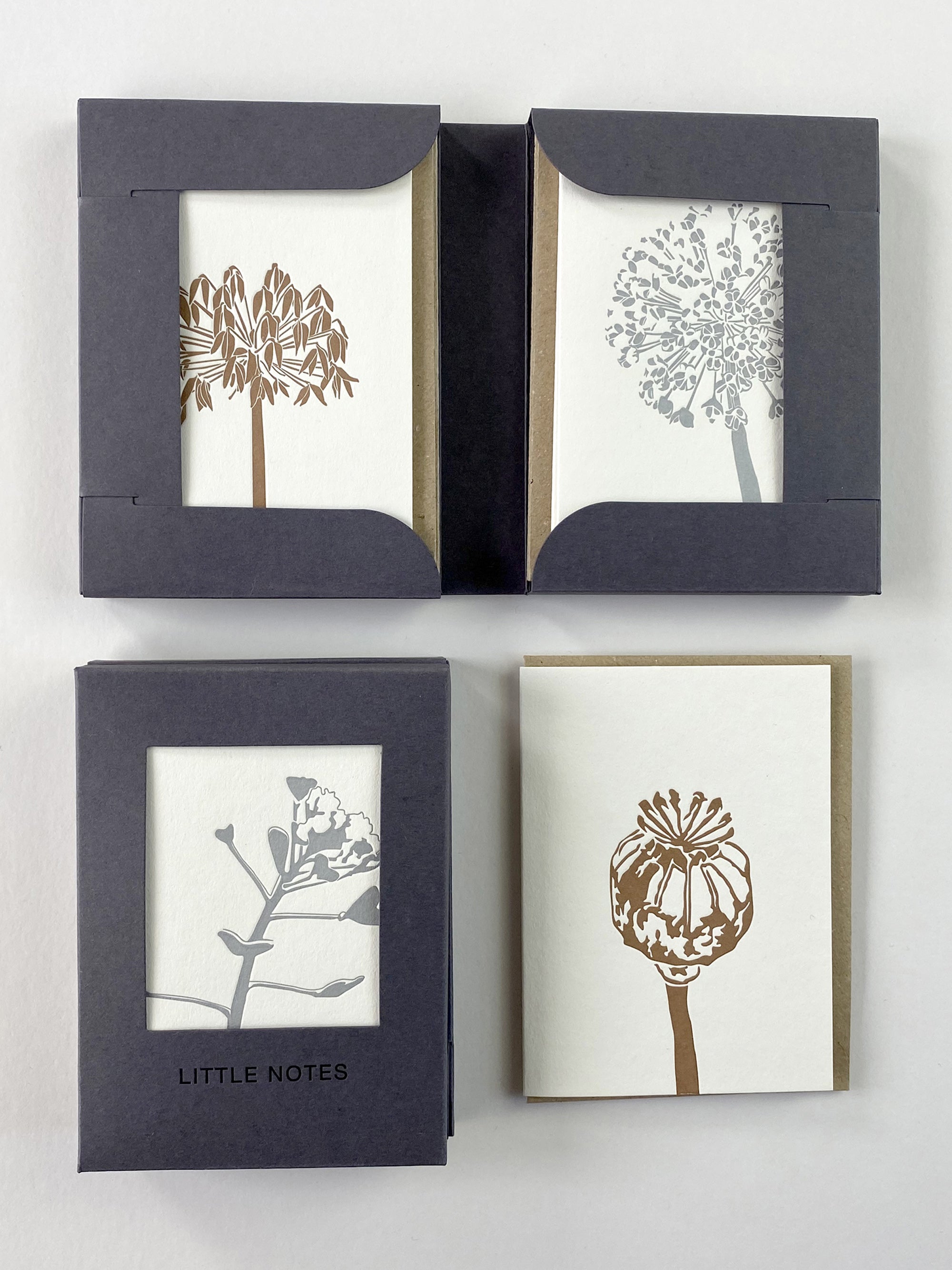 Seedheads Notecard Set | Set of 8