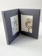 Seedheads Notecard Set | Set of 8