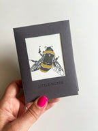 Insect Notecard Set | Set of 8