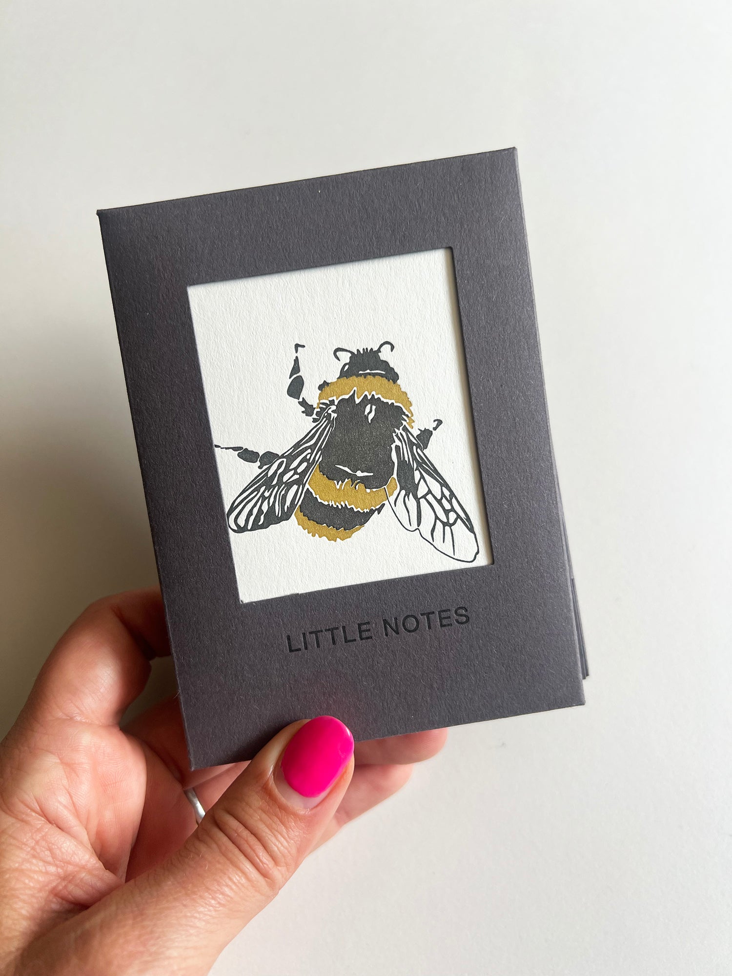 Insect Notecard Set | Set of 8