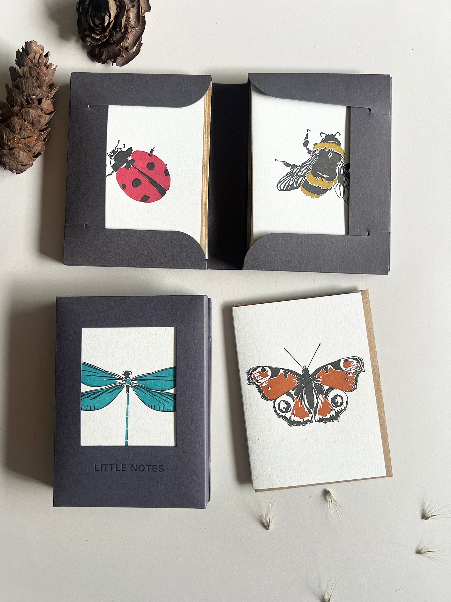 Insect Notecard Set | Set of 8