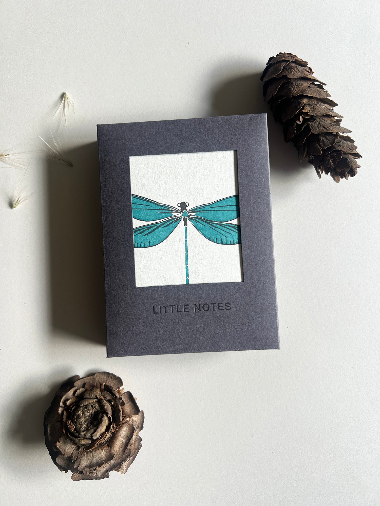 Insect Notecard Set | Set of 8