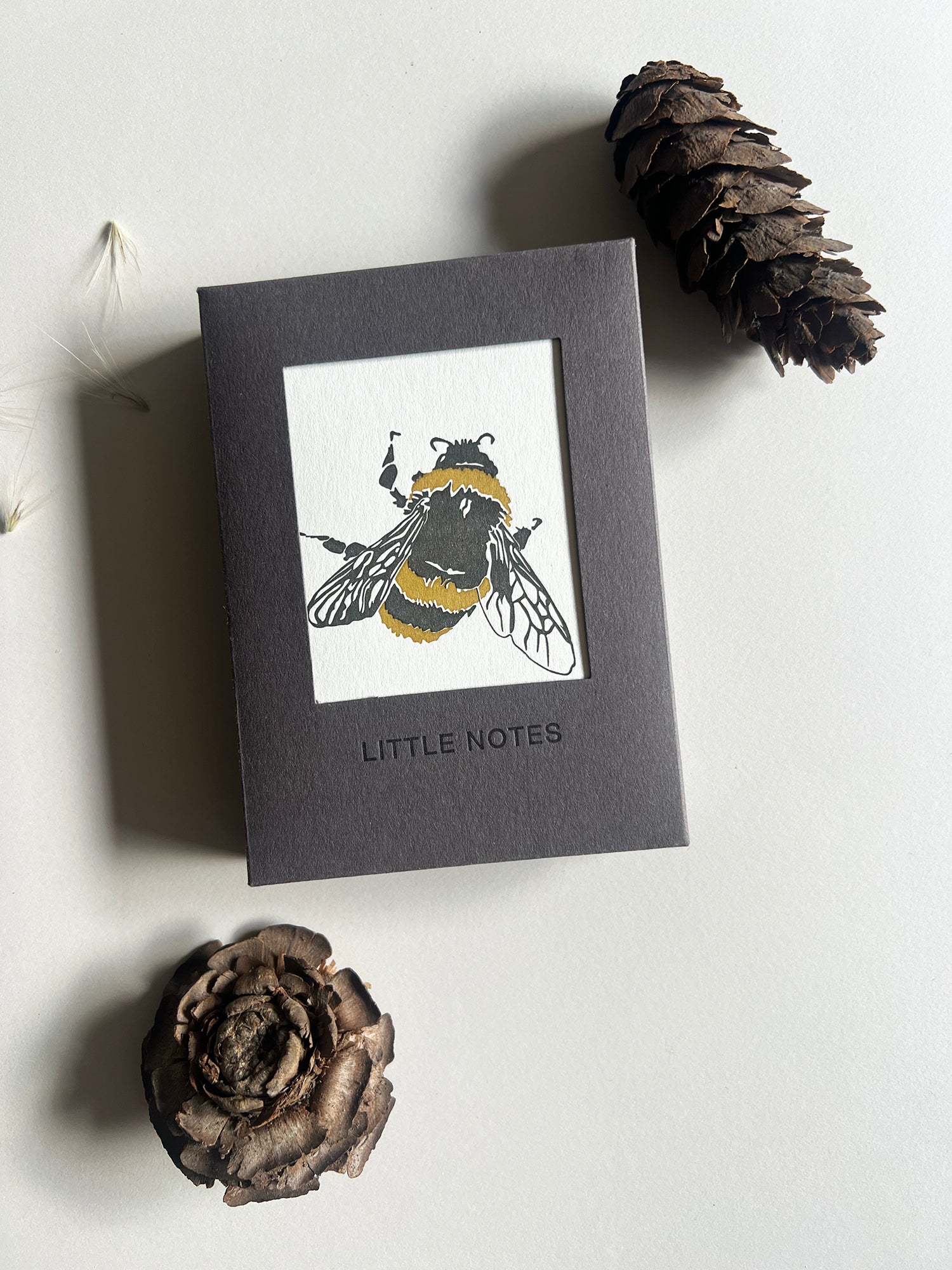 Insect Notecard Set | Set of 8