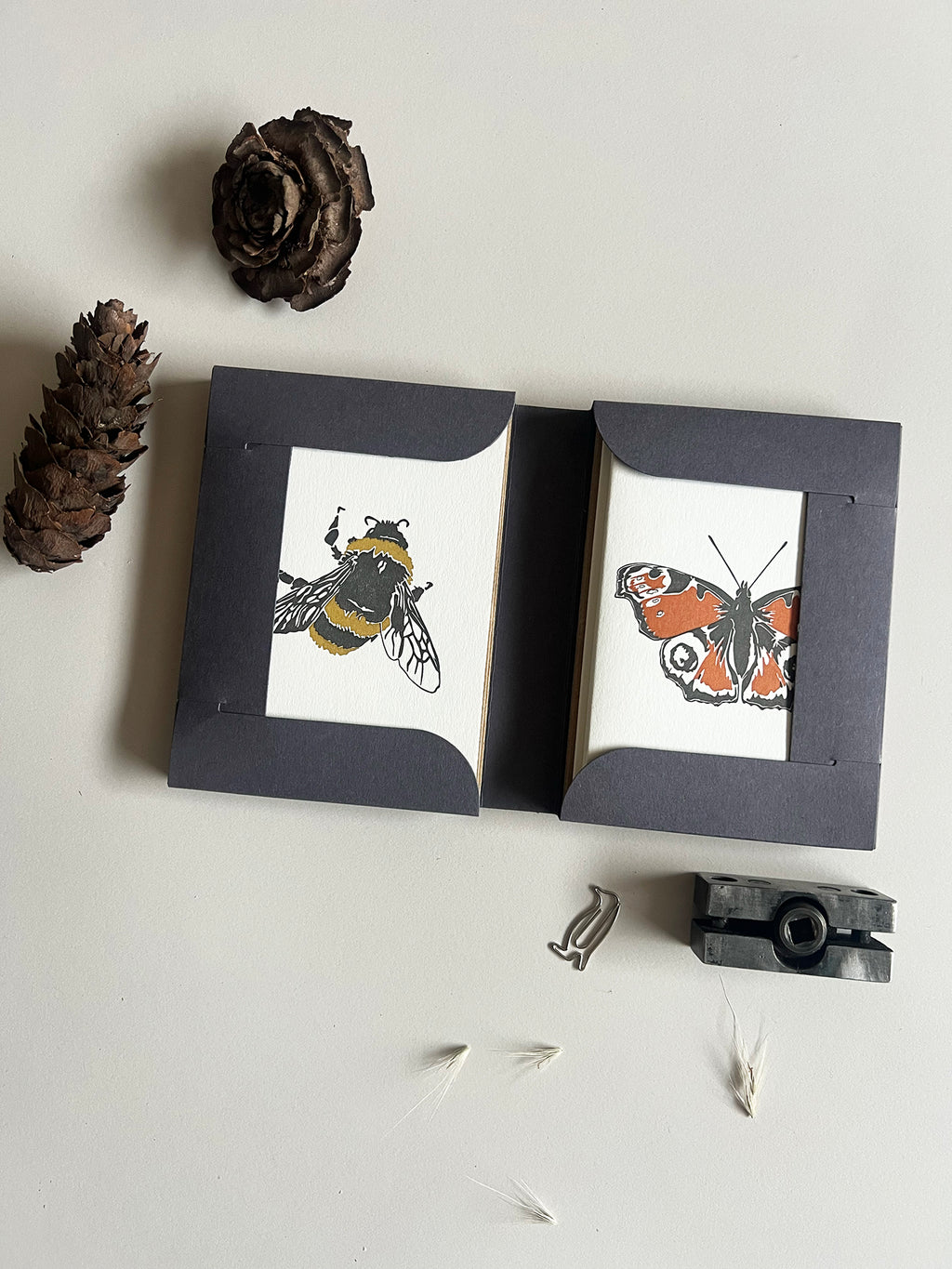 Insect Notecard Set | Set of 8