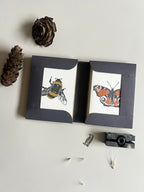 Insect Notecard Set | Set of 8