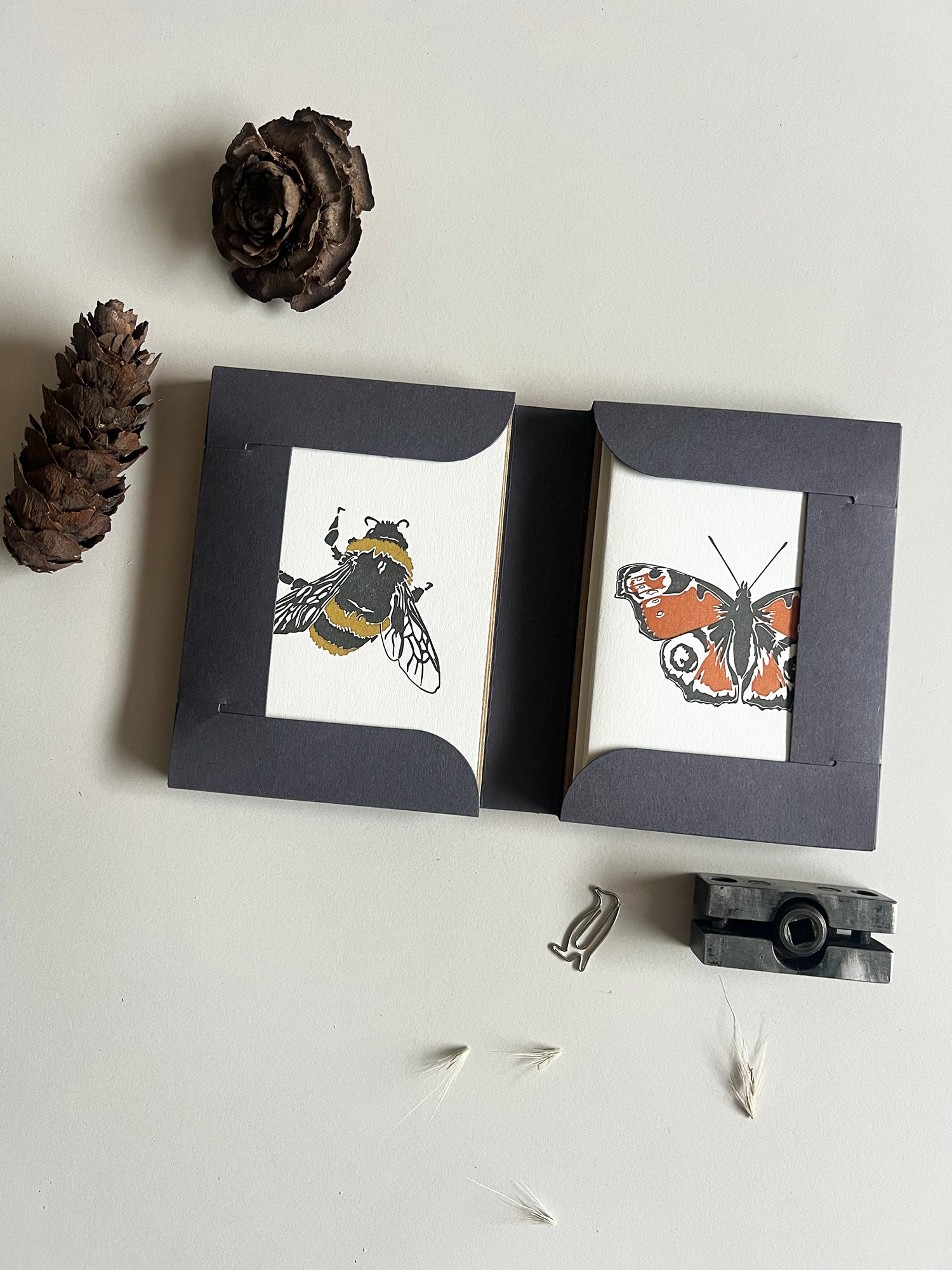 Insect Notecard Set | Set of 8
