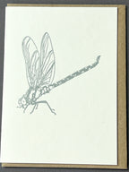 Metallic Dragonfly Card