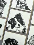 Border Collie Puppy Letterpress Card