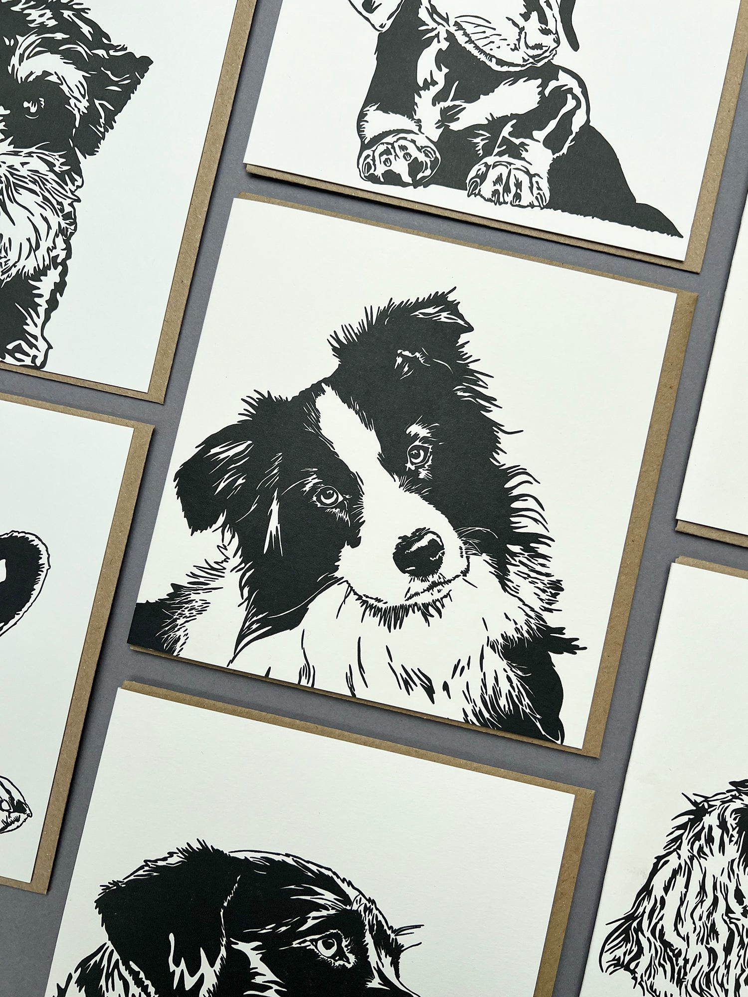 Border Collie Puppy Letterpress Card