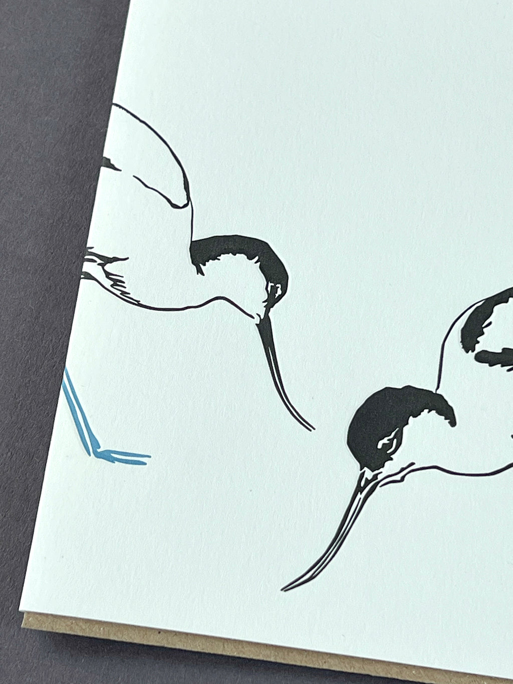 Avocets Letterpress Card