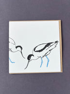 Avocets Letterpress Card