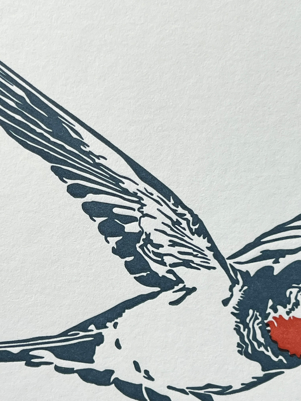Swallow Letterpress Card