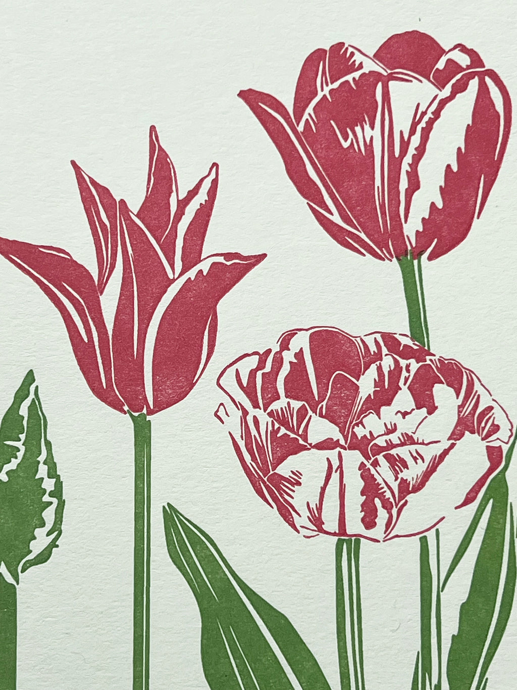 Pink Tulips Letterpress Card