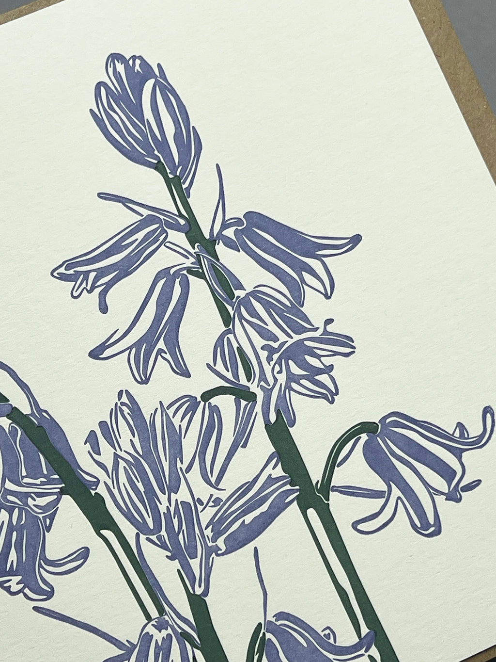 Bluebells Letterpress Card