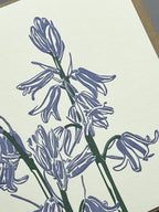 Bluebells Letterpress Card