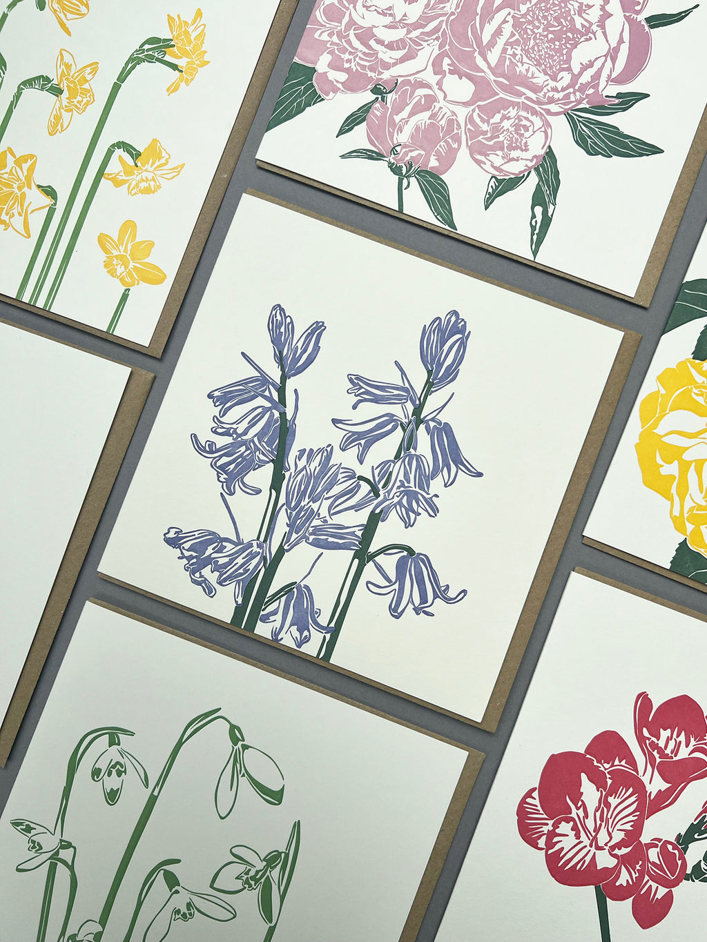 Bluebells Letterpress Card