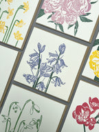 Bluebells Letterpress Card