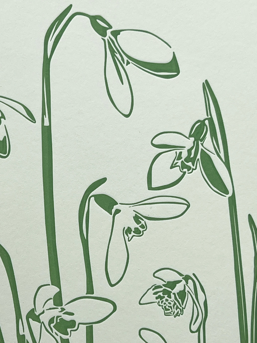 Snowdrops Letterpress Card
