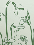 Snowdrops Letterpress Card