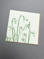 Snowdrops Letterpress Card