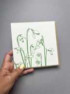 Snowdrops Letterpress Card