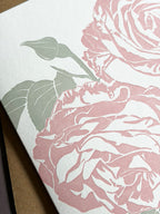 Pink Rose Letterpress Card