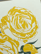 Yellow Rose Letterpress Card