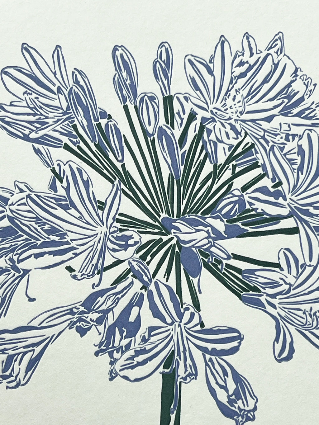Agapanthus Letterpress Card