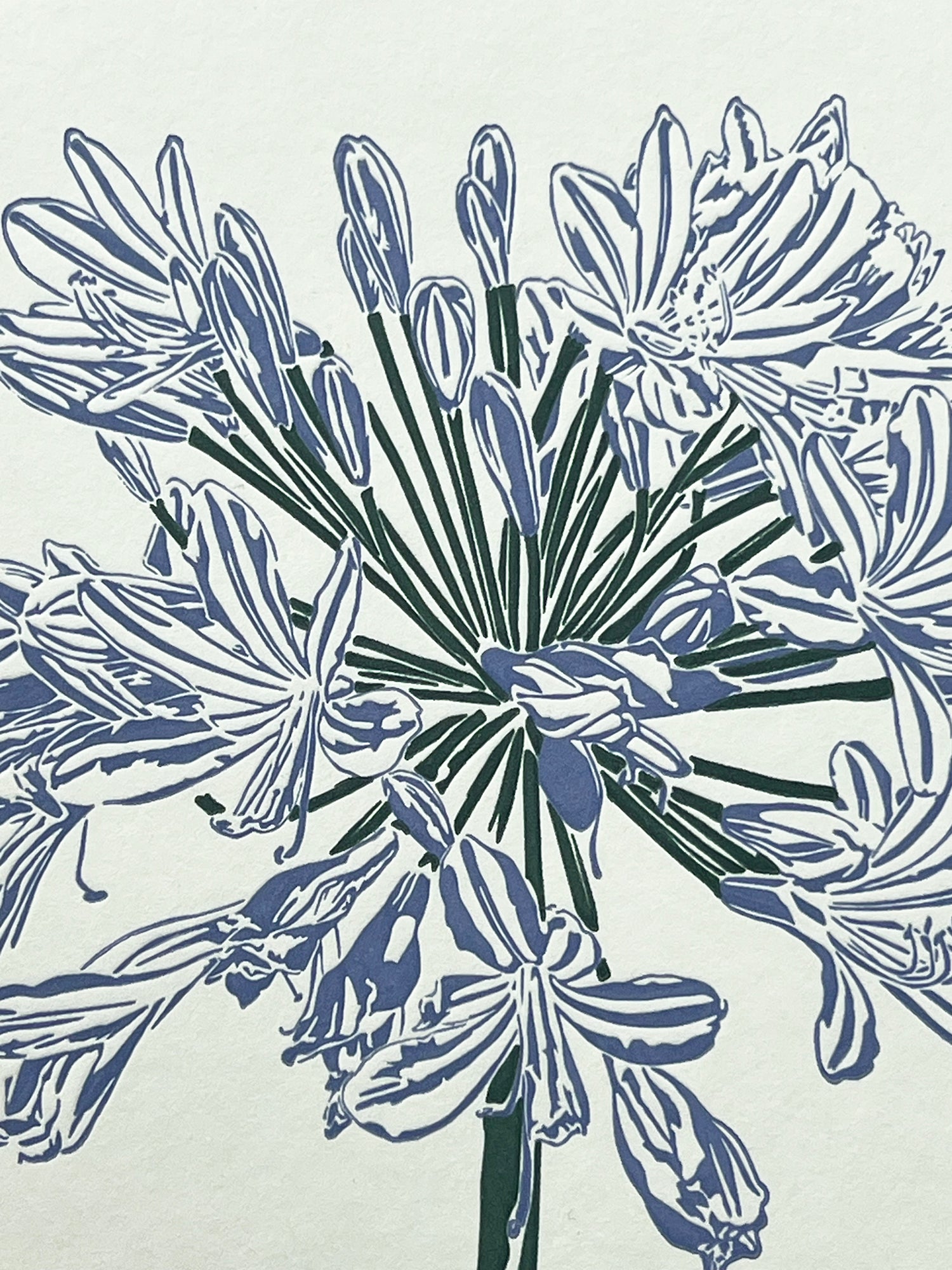 Agapanthus Letterpress Card