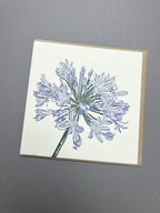 Agapanthus Letterpress Card