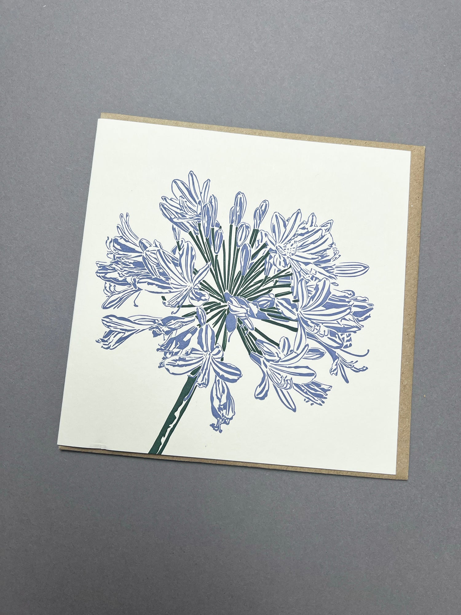 Agapanthus Letterpress Card