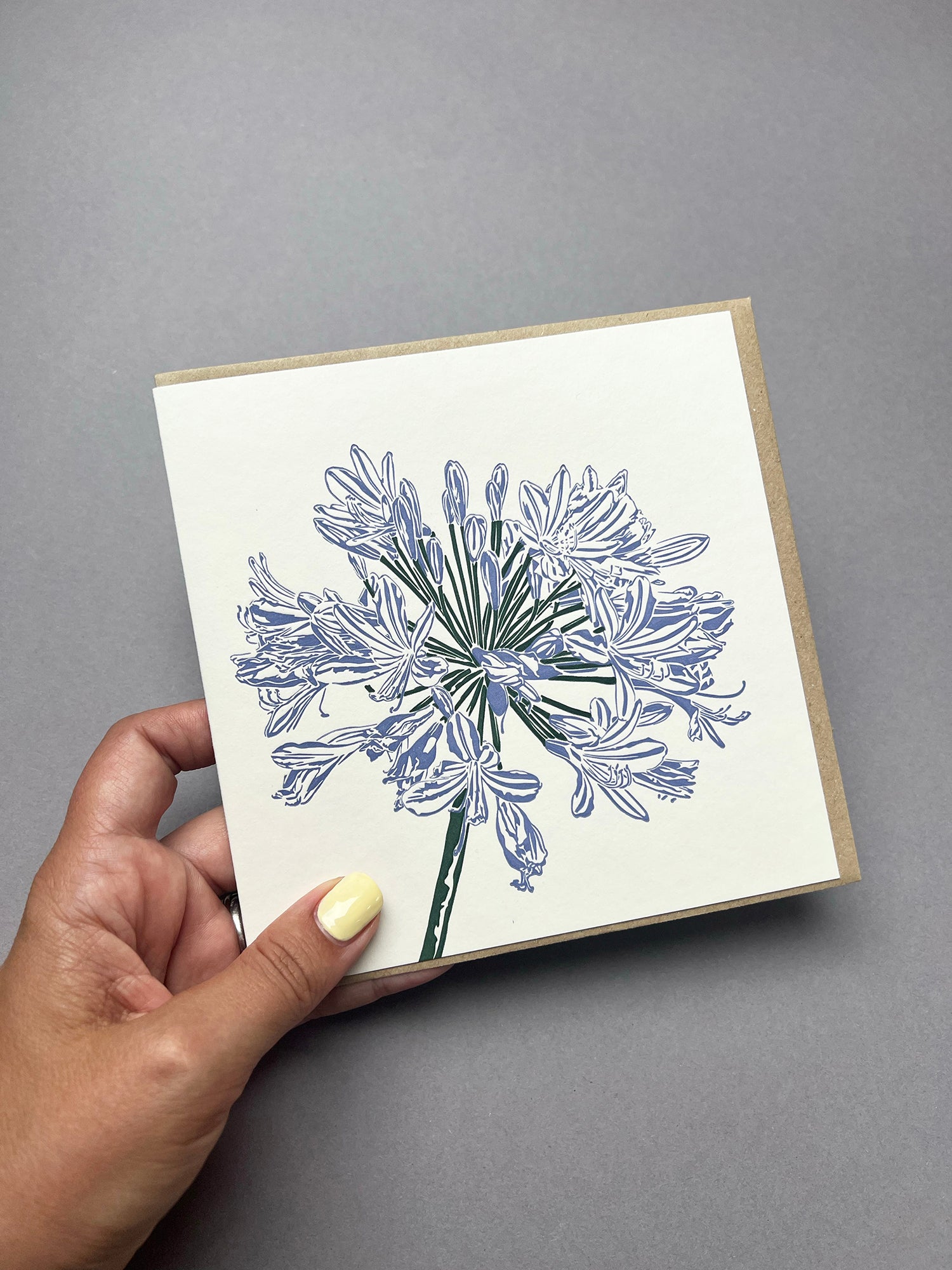 Agapanthus Letterpress Card