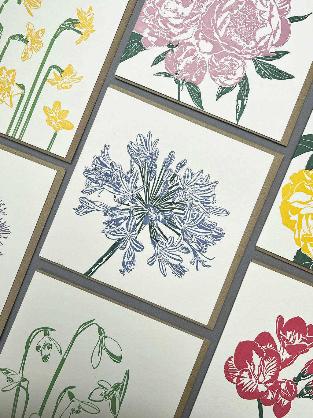 Agapanthus Letterpress Card