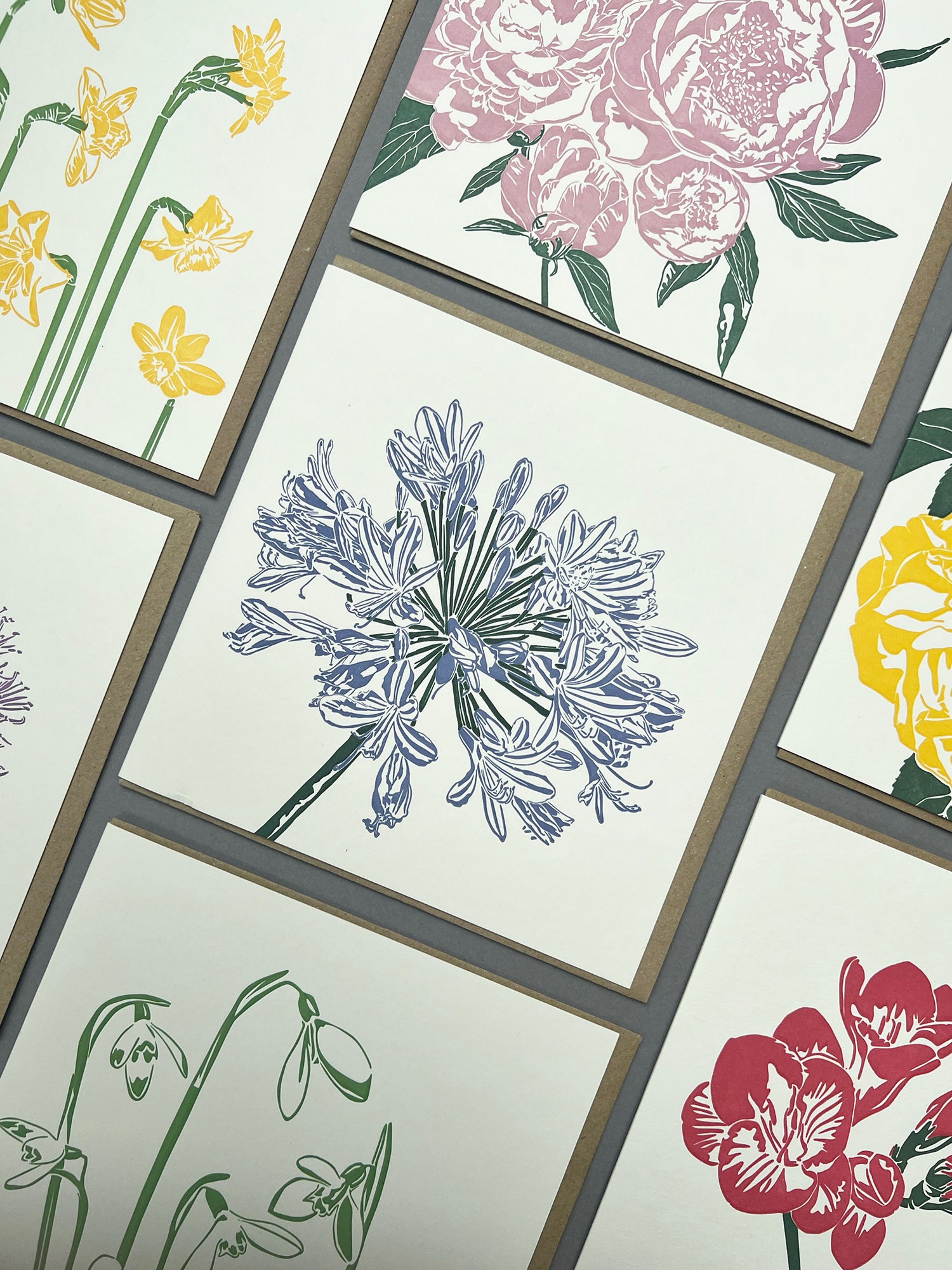 Agapanthus Letterpress Card
