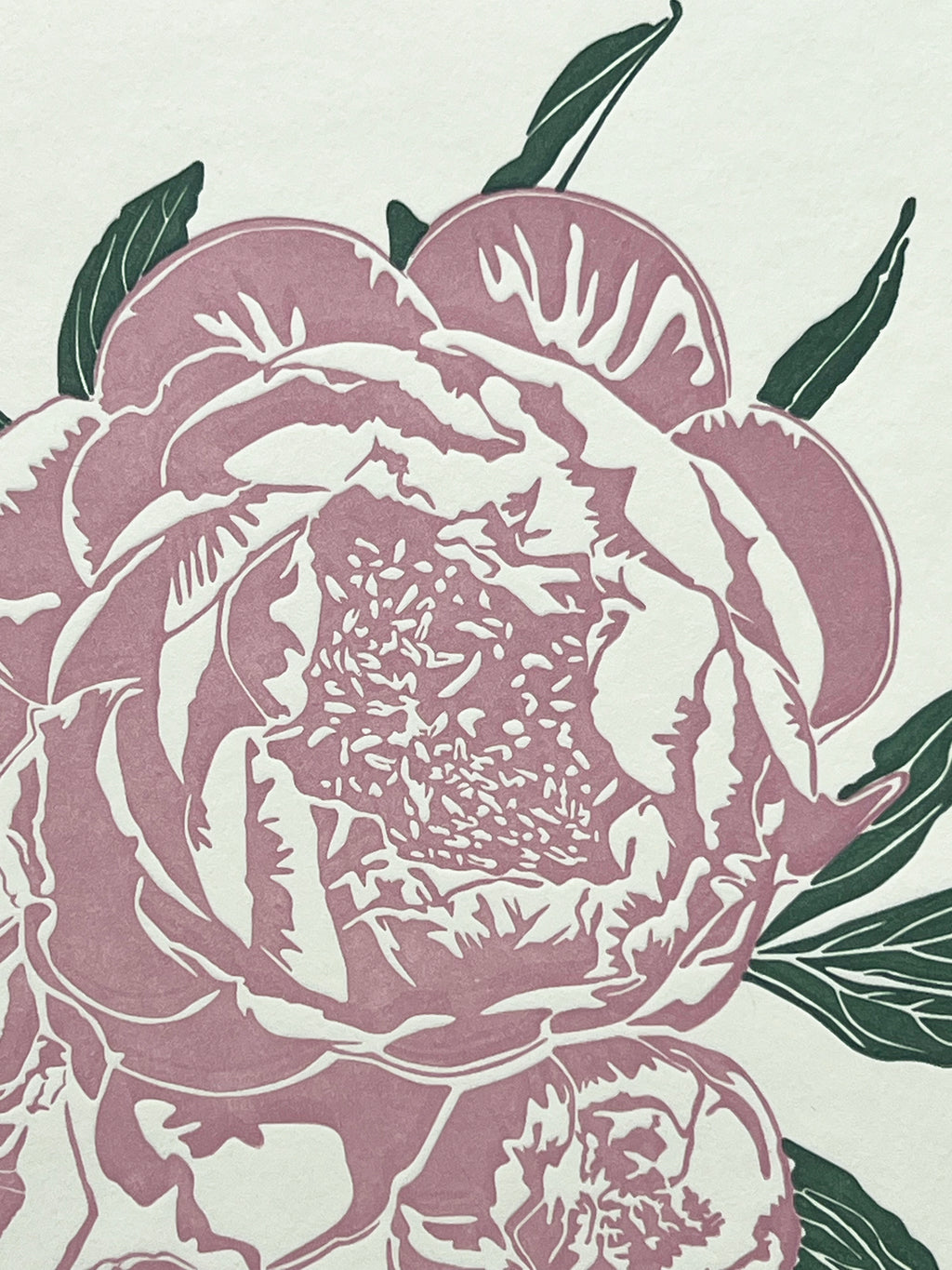 Pink Peony Letterpress Card