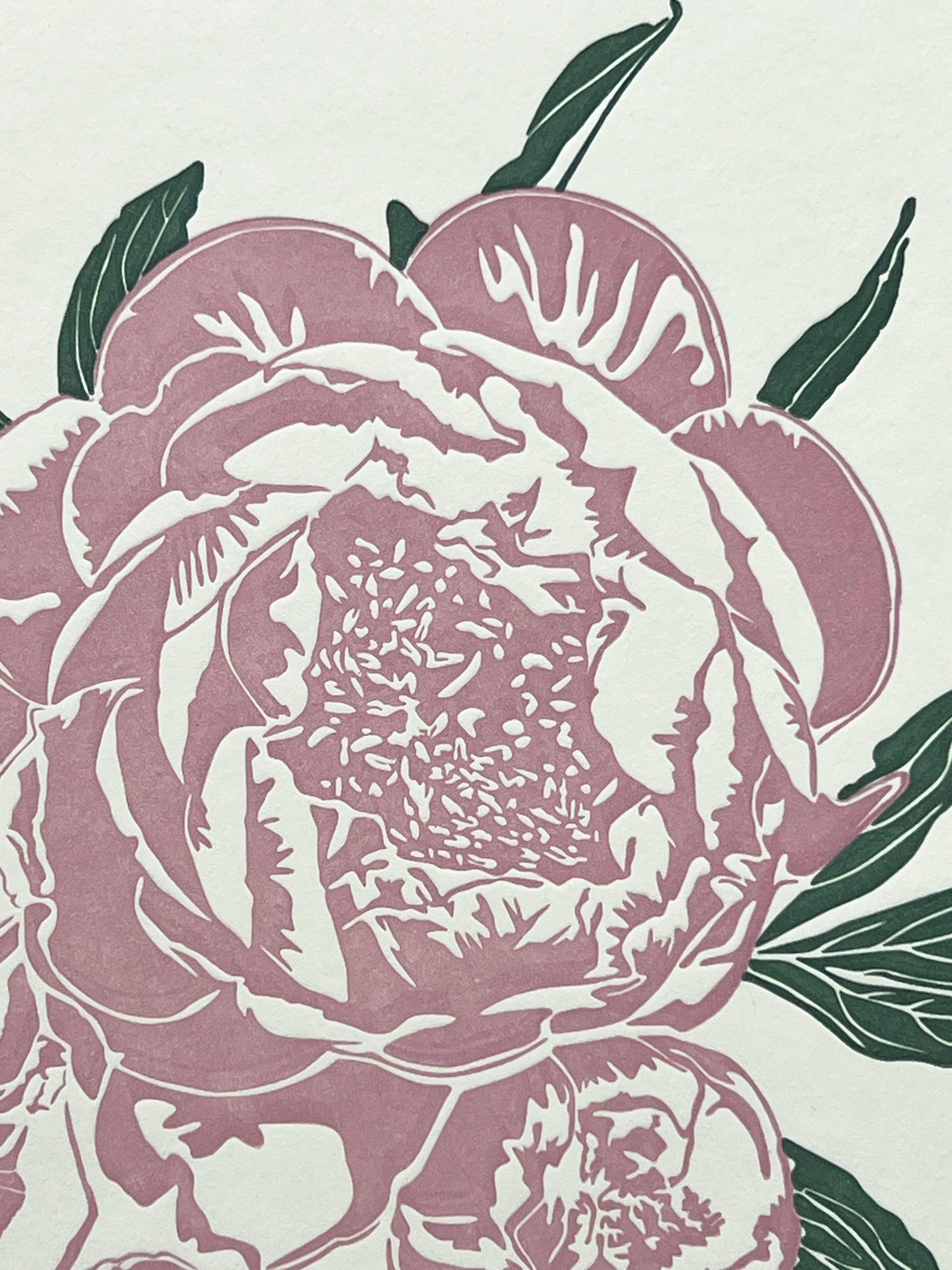 Pink Peony Letterpress Card