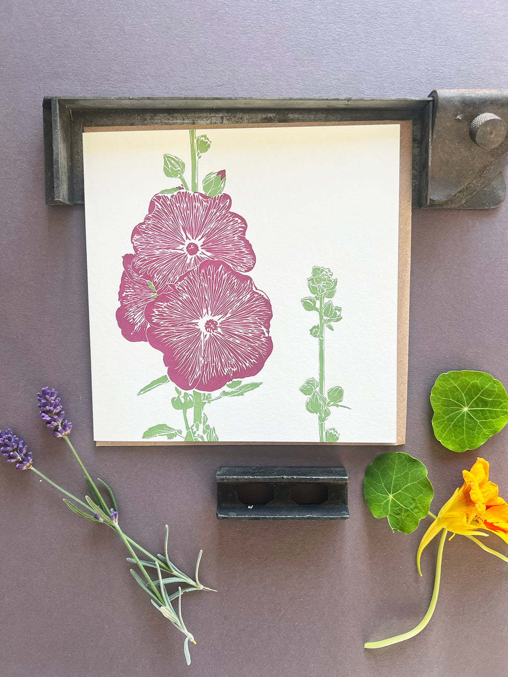 Hollyhock Letterpress Card