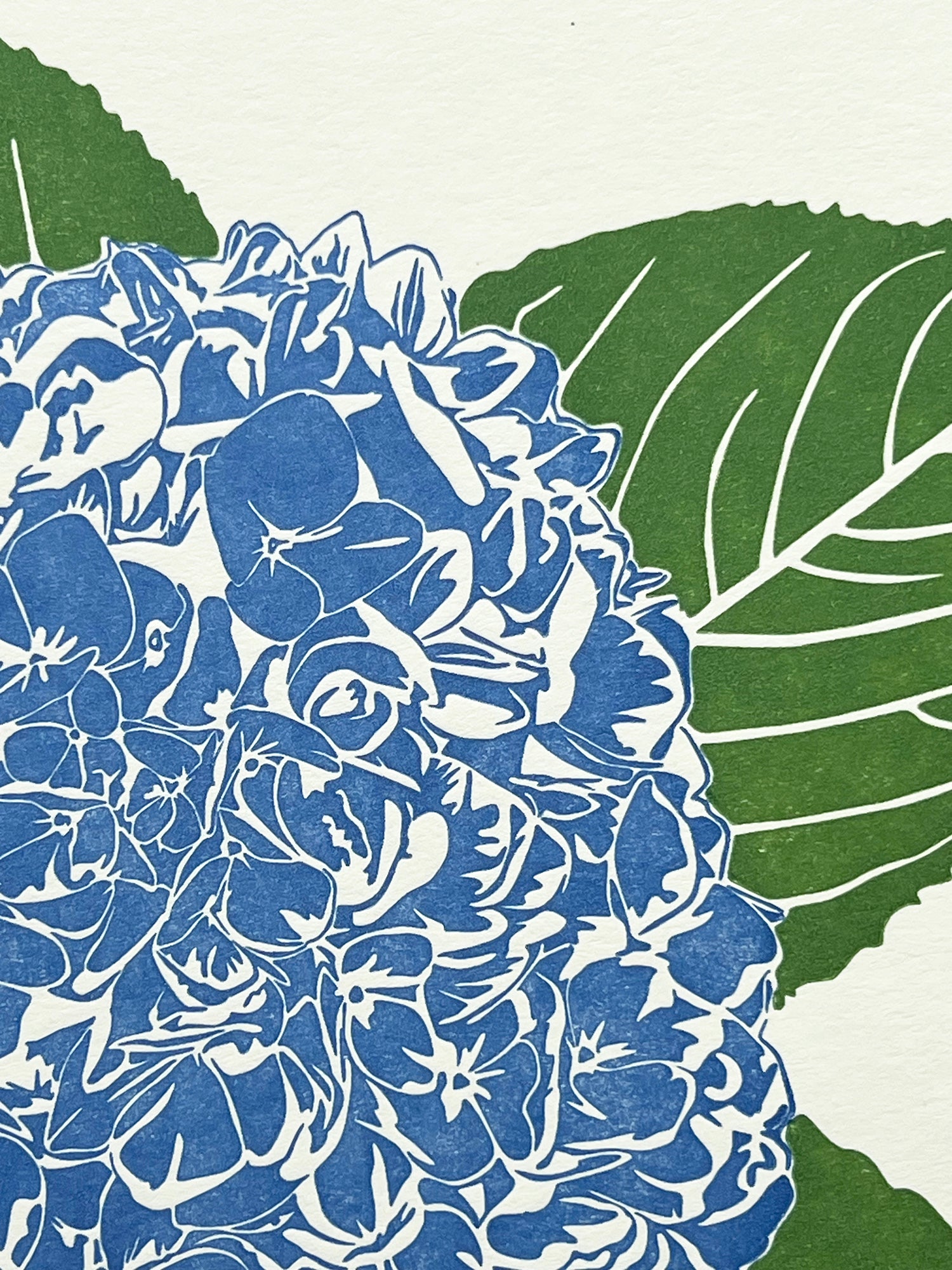 Blue Hydrangea Letterpress Card